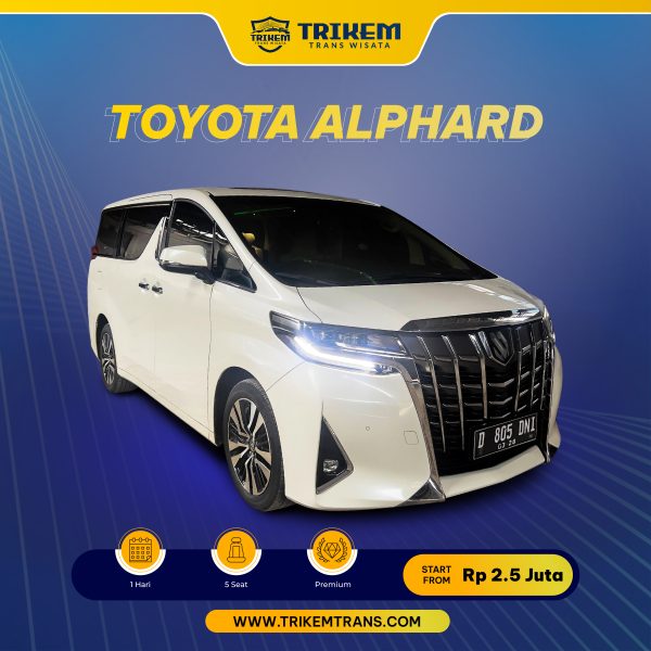 TOYOTA ALPHARD + Driver