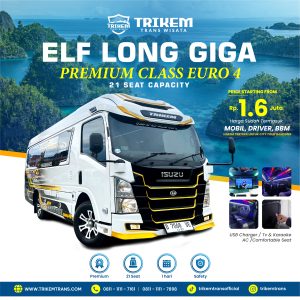 ISUZU ELF LONG GIGA 21 SEAT + DRIVER