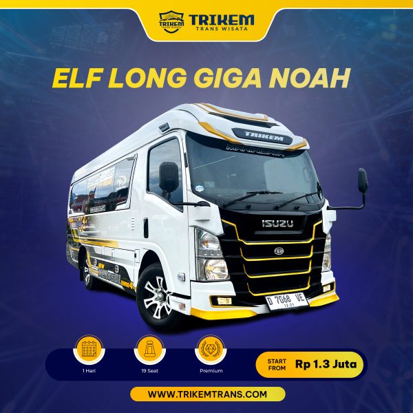 ISUZU ELF LONG GIGA NOAH + Driver