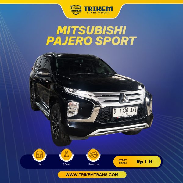 Mitsubishi Pajero Sport + Driver