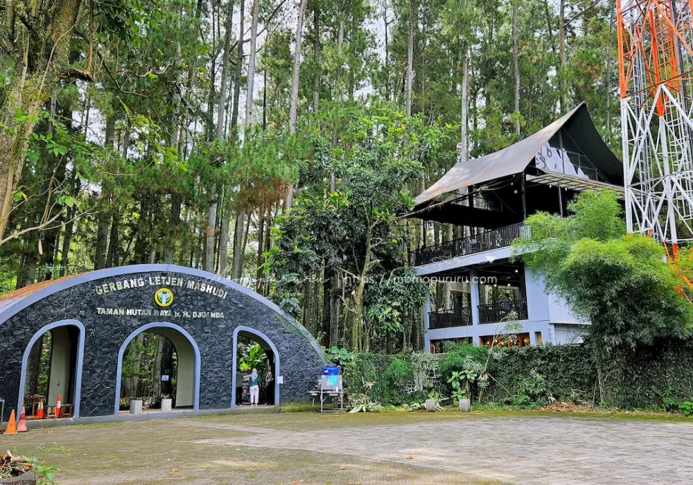Jalur setapak menuju Gua Jepang di kawasan Taman Hutan Raya Ir. H. Juanda. 
